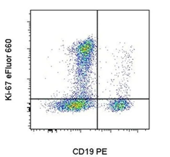 Ki-67 Monoclonal Antibody (20Raj1), eFluor 660, eBioscience