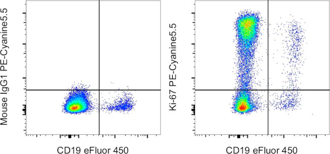 Ki-67 Monoclonal Antibody (20Raj1), PE-Cyanine5.5, eBioscience
