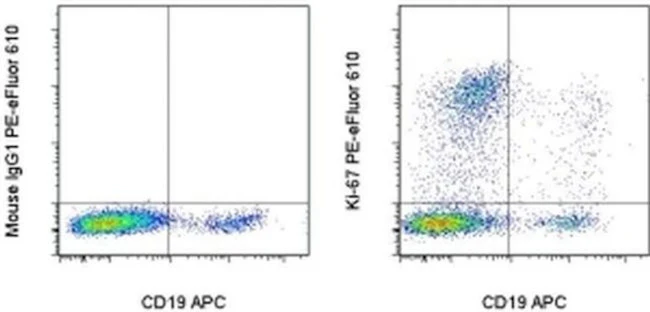 Ki-67 Monoclonal Antibody (20Raj1), PE-eFluor 610, eBioscience