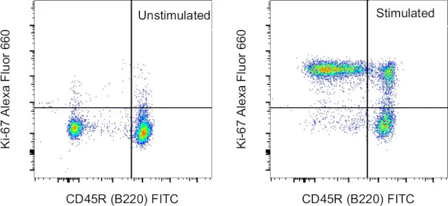 Ki-67 Monoclonal Antibody (SolA15), Alexa Fluor 660, eBioscience