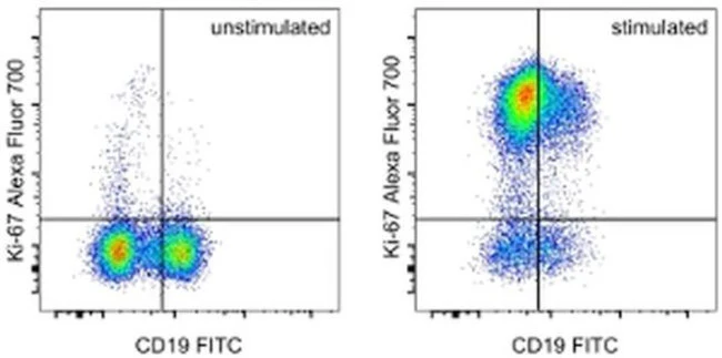Ki-67 Monoclonal Antibody (SolA15), Alexa Fluor 700, eBioscience