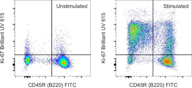 Ki-67 Monoclonal Antibody (SolA15), Brilliant Ultra Violet 615, eBioscience
