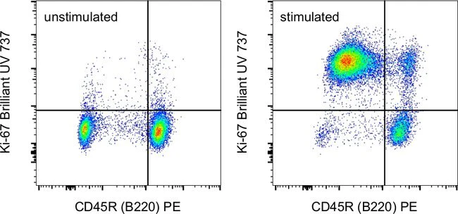 Ki-67 Monoclonal Antibody (SolA15), Brilliant Ultra Violet™ 737, eBioscience™