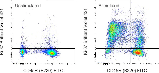 Ki-67 Monoclonal Antibody (SolA15), Brilliant Violet 421, eBioscience