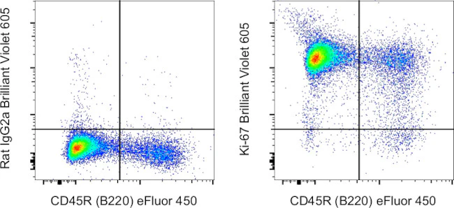 Ki-67 Monoclonal Antibody (SolA15), Brilliant Violet 605, eBioscience