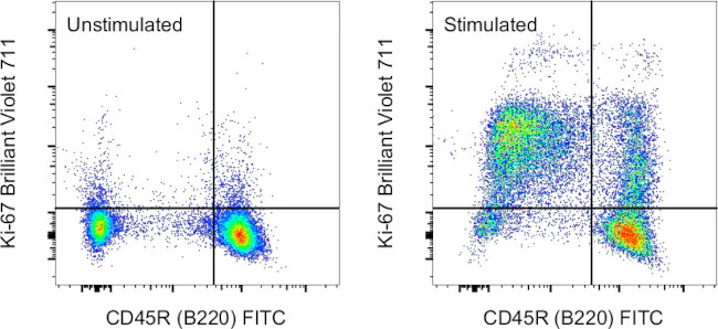 Ki-67 Monoclonal Antibody (SolA15), Brilliant Violet 711, eBioscience