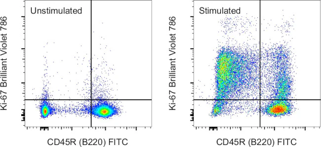 Ki-67 Monoclonal Antibody (SolA15), Brilliant Violet™ 786, eBioscience™