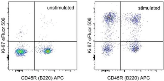 Ki-67 Monoclonal Antibody (SolA15), eFluor 506, eBioscience