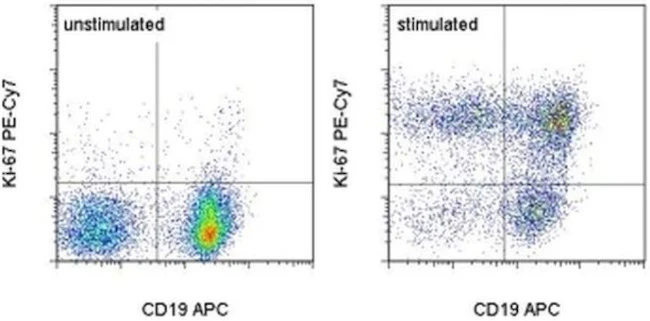 Ki-67 Monoclonal Antibody (SolA15), PE-Cyanine7, eBioscience