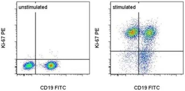 Ki-67 Monoclonal Antibody (SolA15), PE, eBioscience