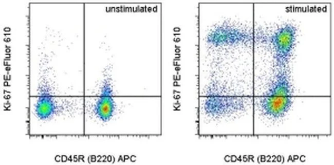 Ki-67 Monoclonal Antibody (SolA15), PE-eFluor 610, eBioscience