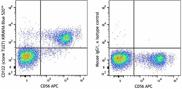 KIRAVIA Blue 520™ anti-human CD122 (IL-2Rβ)