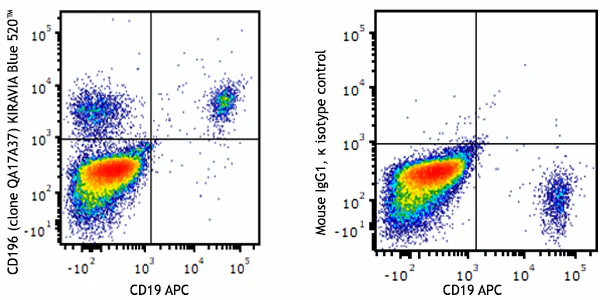 KIRAVIA Blue 520™ anti-human CD196 (CCR6) Recombinant