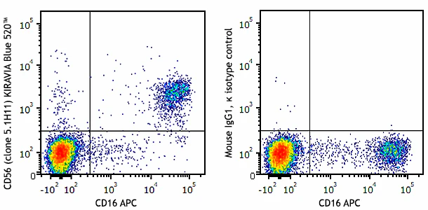 KIRAVIA Blue 520™ anti-human CD56 (NCAM)