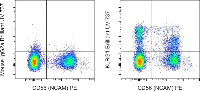 KLRG1 Monoclonal Antibody (13F12F2), Brilliant Ultra Violet 737, eBioscience