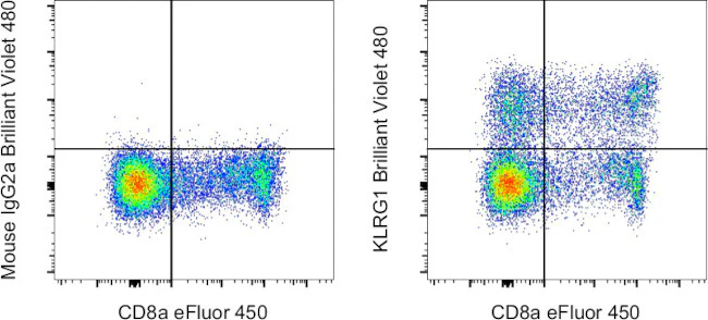 KLRG1 Monoclonal Antibody (13F12F2), Brilliant Violet™ 480