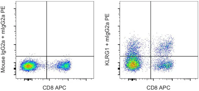 KLRG1 Monoclonal Antibody (13F12F2), Functional Grade, eBioscience