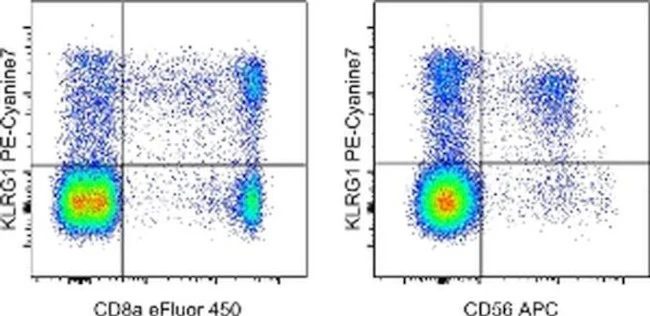 KLRG1 Monoclonal Antibody (13F12F2), PE-Cyanine7, eBioscience
