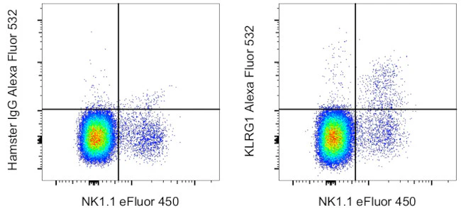 KLRG1 Monoclonal Antibody (2F1), Alexa Fluor 532, eBioscience