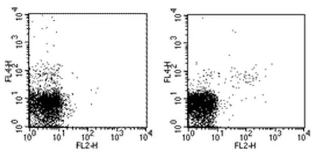 KLRG1 Monoclonal Antibody (2F1), Biotin, eBioscience