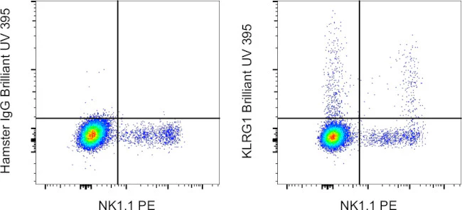 KLRG1 Monoclonal Antibody (2F1), Brilliant Ultra Violet 395, eBioscience