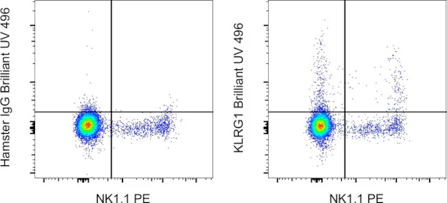 KLRG1 Monoclonal Antibody (2F1), Brilliant Ultra Violet 496, eBioscience