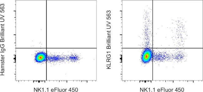 KLRG1 Monoclonal Antibody (2F1), Brilliant Ultra Violet 563, eBioscience