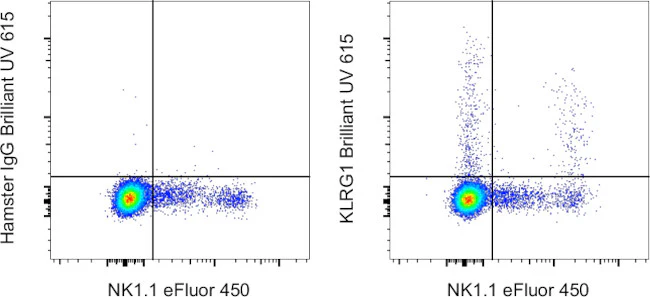 KLRG1 Monoclonal Antibody (2F1), Brilliant Ultra Violet 615, eBioscience