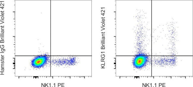 KLRG1 Monoclonal Antibody (2F1), Brilliant Violet 421, eBioscience