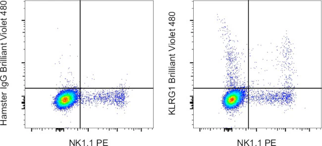 KLRG1 Monoclonal Antibody (2F1), Brilliant Violet 480, eBioscience