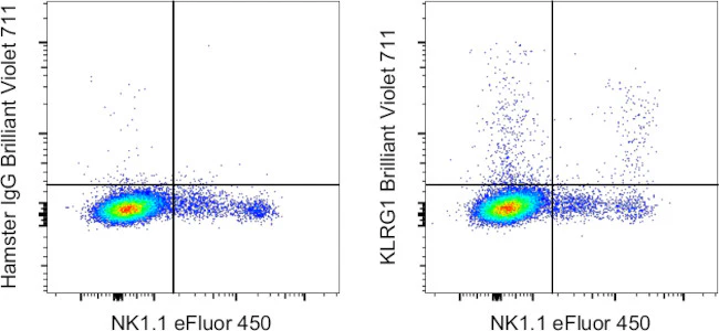 KLRG1 Monoclonal Antibody (2F1), Brilliant Violet 711, eBioscience