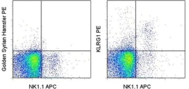 KLRG1 Monoclonal Antibody (2F1), PE, eBioscience