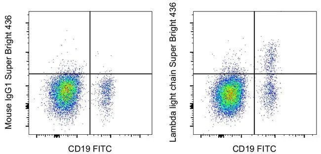 Lambda light chain Monoclonal Antibody (1-155-2), Super Bright™ 436, eBioscience™