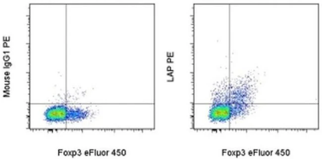 LAP (Latency Associated peptide) Monoclonal Antibody (TW7-16B4), PE, eBioscience