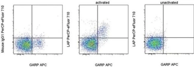 LAP (Latency Associated peptide) Monoclonal Antibody (TW7-16B4), PerCP-eFluor 710, eBioscience