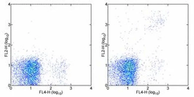 Ly-49A/D Monoclonal Antibody (eBio12A8 (12A8)), PE, eBioscience