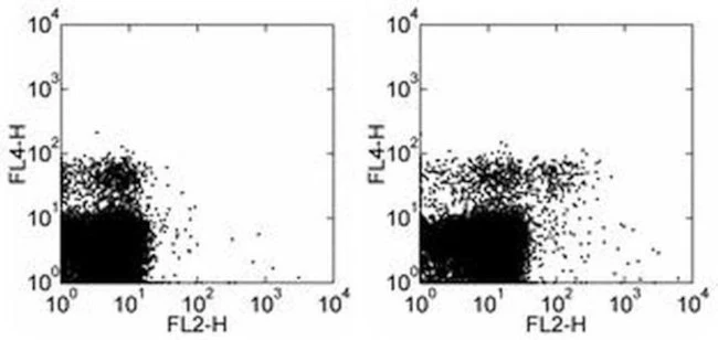 Ly-49G Monoclonal Antibody (AT-8 (AT8)), PE, eBioscience