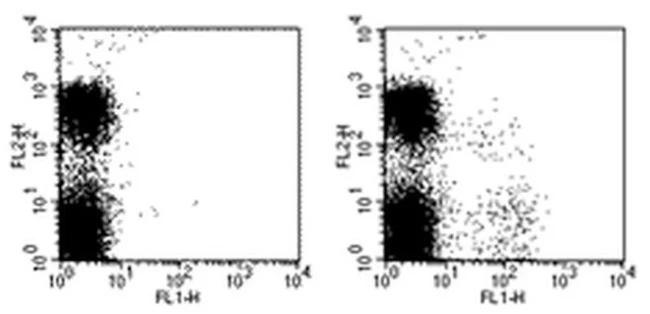 Ly-49I Monoclonal Antibody (YLI-90), FITC, eBioscience