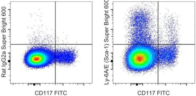Ly-6A/E (Sca-1) Monoclonal Antibody (D7), Super Bright 600, eBioscience