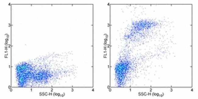 Ly-6G/Ly-6C Monoclonal Antibody (RB6-8C5), Alexa Fluor 488, eBioscience