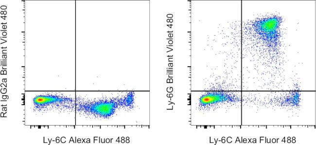 Ly-6G Monoclonal Antibody (1A8-Ly6g), Brilliant Violet 480, eBioscience