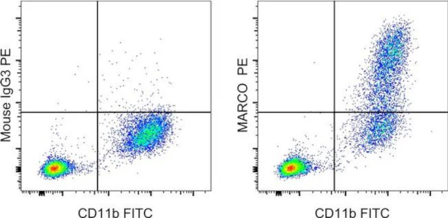 MARCO Monoclonal Antibody (PLK-1), PE, eBioscience