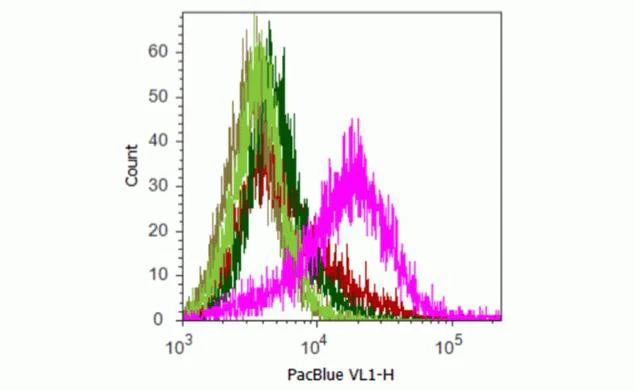 mCherry Monoclonal Antibody (16D7)
