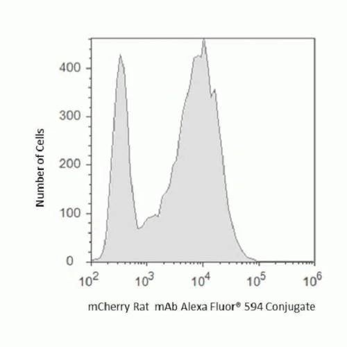 mCherry Monoclonal Antibody (16D7), Alexa Fluor 594