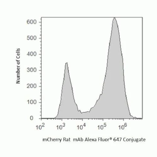 mCherry Monoclonal Antibody (16D7), Alexa Fluor 647
