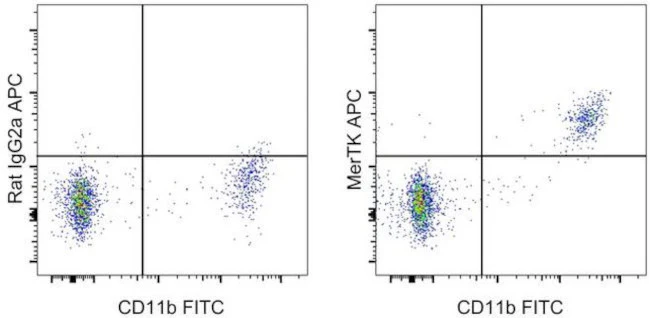 MERTK Monoclonal Antibody (DS5MMER), APC, eBioscience
