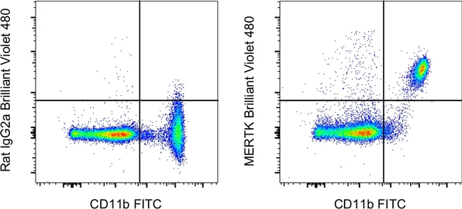 MERTK Monoclonal Antibody (DS5MMER), Brilliant Violet 480, eBioscience