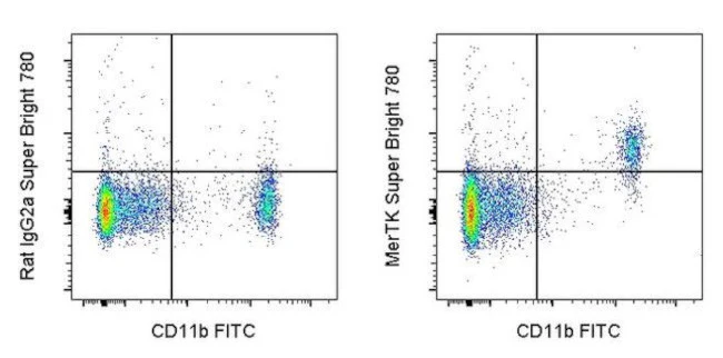 MERTK Monoclonal Antibody (DS5MMER), Super Bright 780, eBioscience