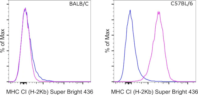 MHC Class I (H-2kb) Monoclonal Antibody (AF6-88.5.5.3), Super Bright 436, eBioscience