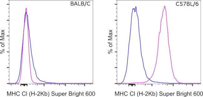 MHC Class I (H-2kb) Monoclonal Antibody (AF6-88.5.5.3), Super Bright 600, eBioscience
